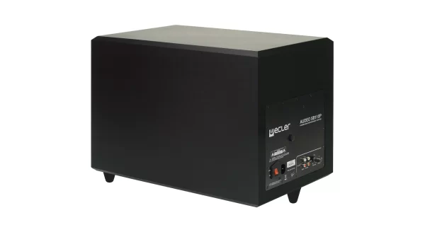 AUDEOSB110P